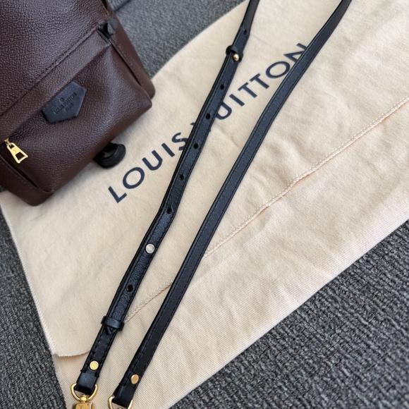 LOUIS VUITTON Monogram Palm Springs MINI Backpack main image 12